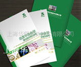 上海華輝印務(wù) 技術(shù)驅(qū)動下的畫冊印刷產(chǎn)品矩陣與創(chuàng)新推廣