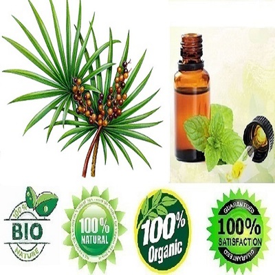 聚焦垂穗藍(lán)本酯出口 95%高含量劍柏果提取物在植物油中的應(yīng)用與價(jià)值